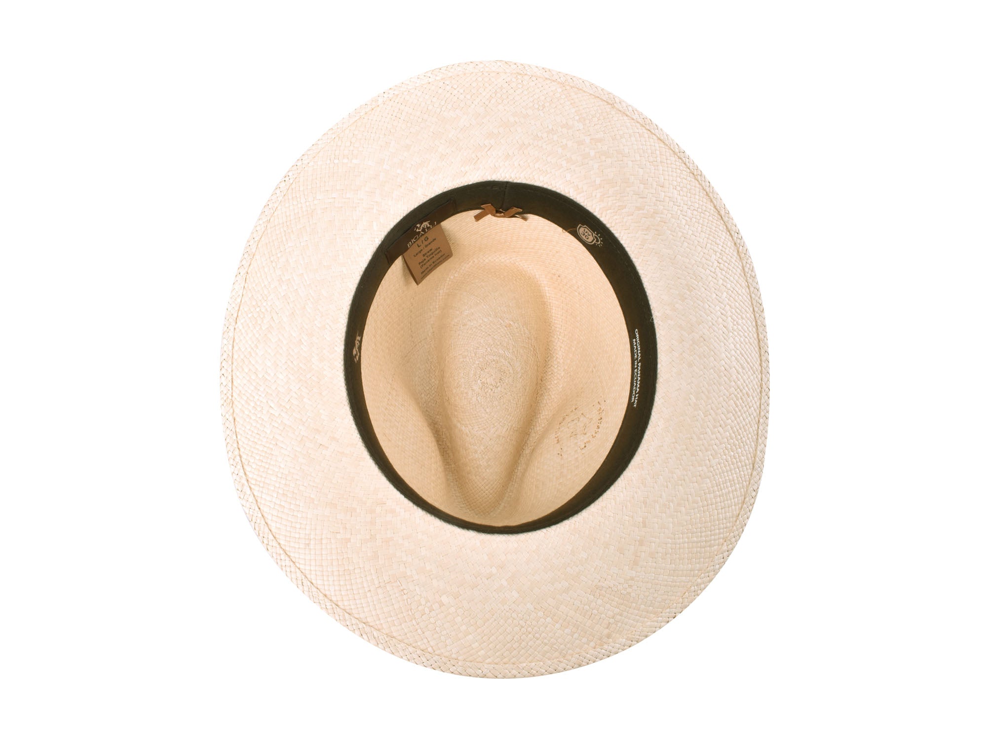 Pioneer  Panama New - My Men's Shop