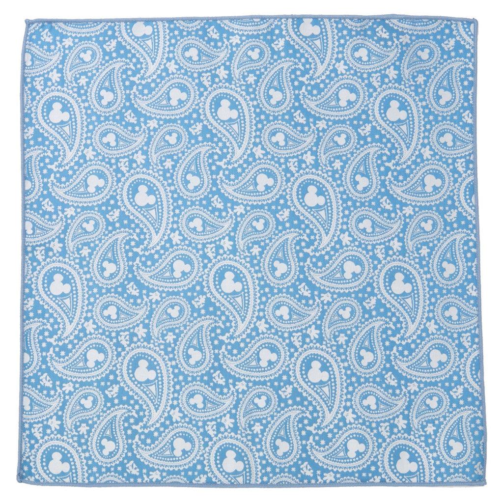 Disney Mickey Mouse Teal Paisley Necktie and Pocket Square Gift Set