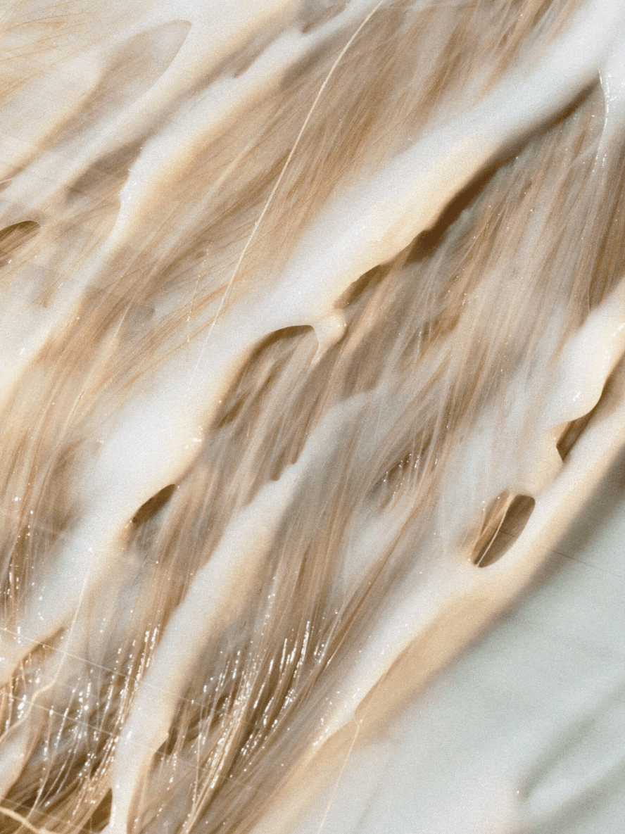 Eco Hydrating Conditioner for Dry Ends | BYMANYC ® New York - My Men's Shop