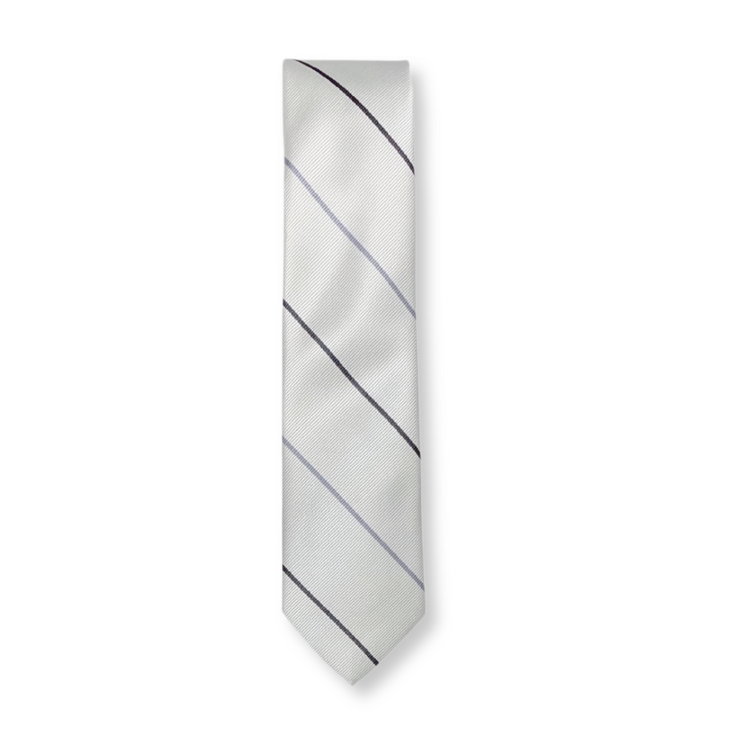 Burke Skinny Striped Tie - My Men's Shop