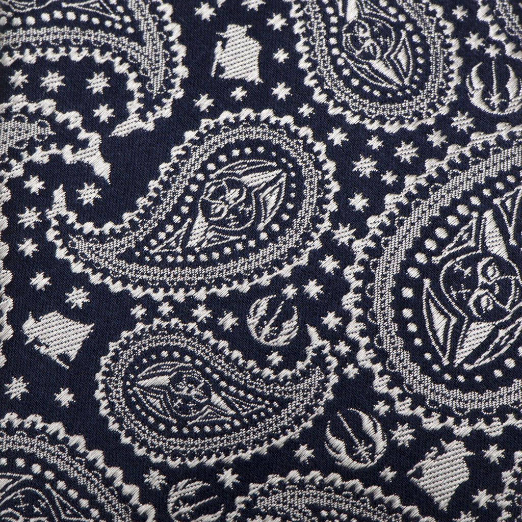 Star Wars Yoda Navy Paisley Tie